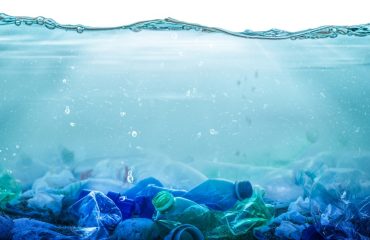Geri Dönüşümü Olmayan Plastikler