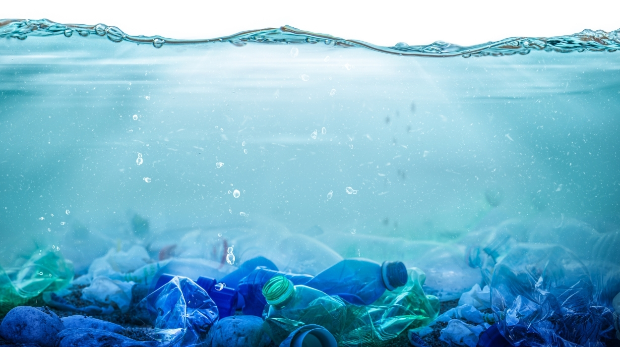 Identifier les plastiques non durables Un guide complet Identifier les plastiques non durables Un guide complet