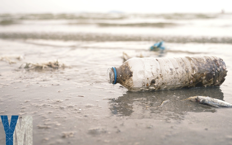 Plastik Olmasa Dünya Nasıl Bir Yer Olurdu
