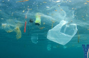 Plastik Olmasaydı Ne Olurdu Plastik Olmasaydı Ne Olurdu